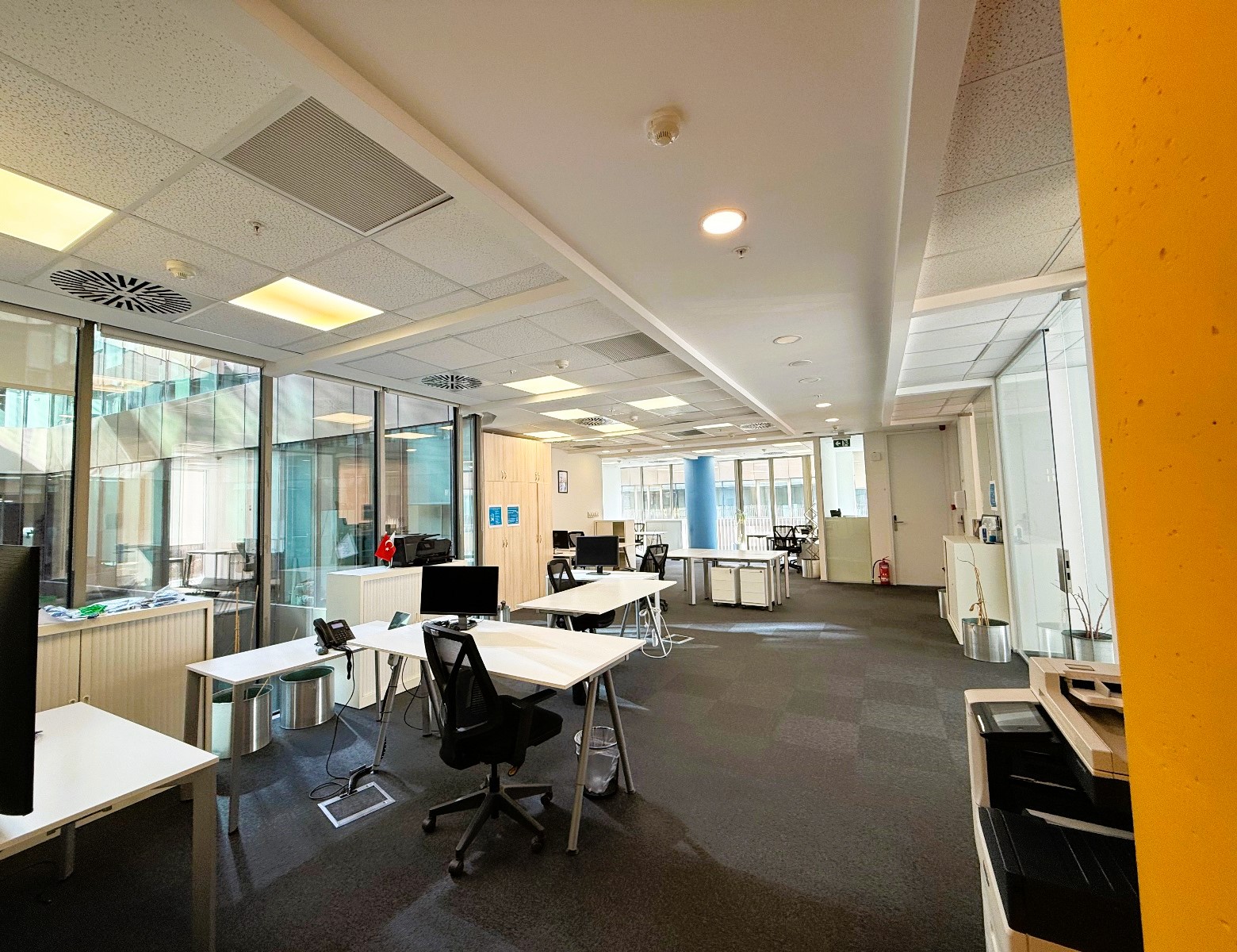 WhatsApp Image 2024 11 21 at 16.46.36